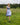 Dirndl mit Streifenschürze und Schliesse