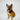 Otto_Buerohund_bei_Berwin